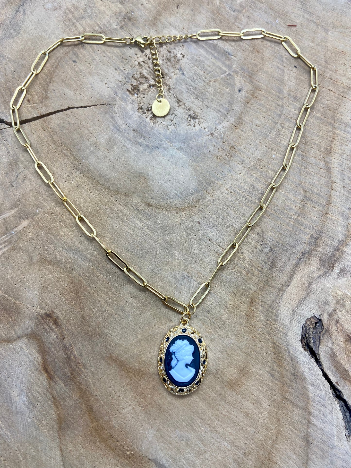 Chaînes en acier inoxydable pendentif camée Style Gothique